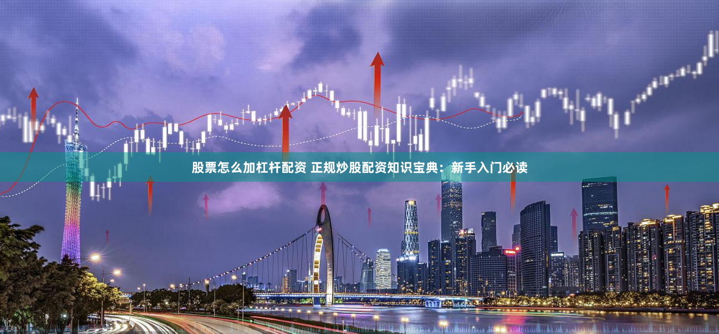 股票怎么加杠杆配资 正规炒股配资知识宝典：新手入门必读