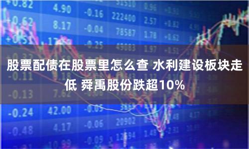股票配债在股票里怎么查 水利建设板块走低 舜禹股份跌超10%
