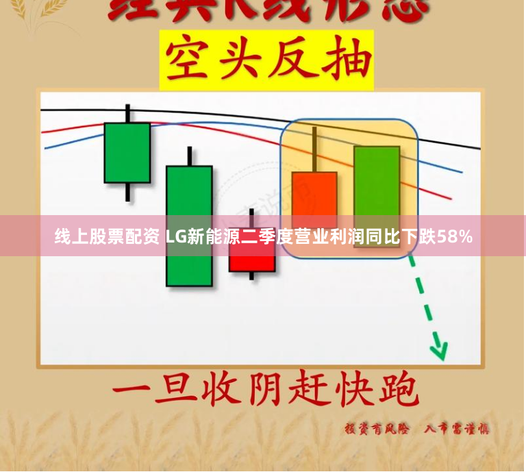 线上股票配资 LG新能源二季度营业利润同比下跌58%