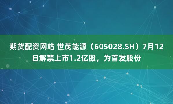 期货配资网站 世茂能源（605028.SH）7月12日解禁上市1.2亿股，为首发股份