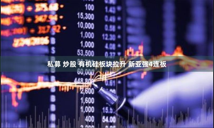 私募 炒股 有机硅板块拉升 新亚强4连板