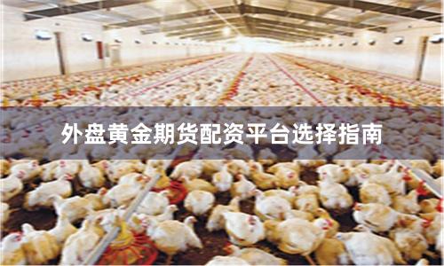 外盘黄金期货配资平台选择指南